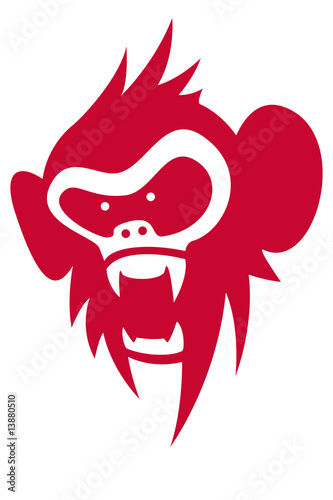 monkey