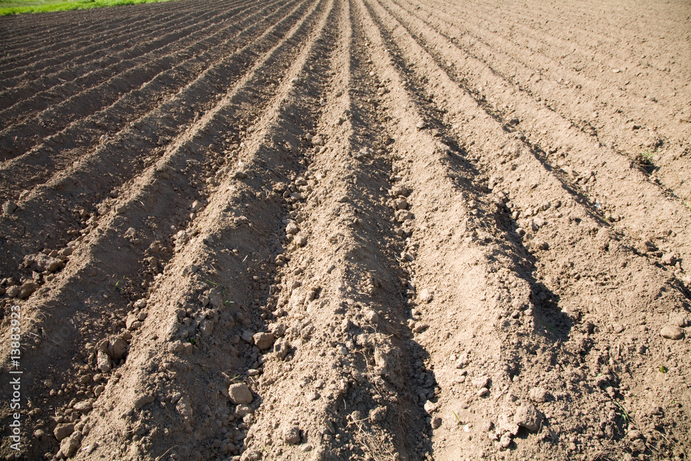 Plot of fallow land Plot of fallow land