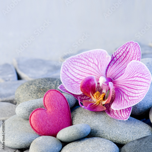 Orchidee und Kiesel mit Herz