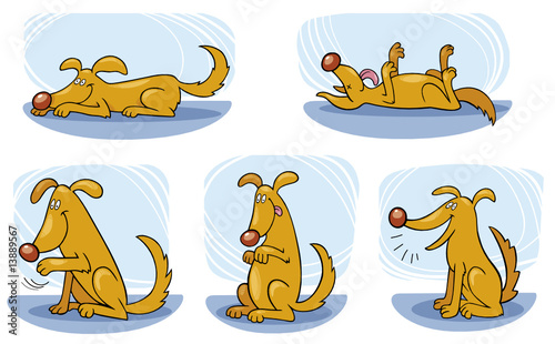 Dog doing tricks