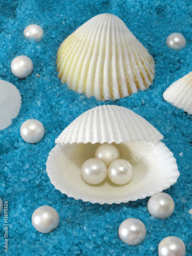 Beautiful shells and pearls