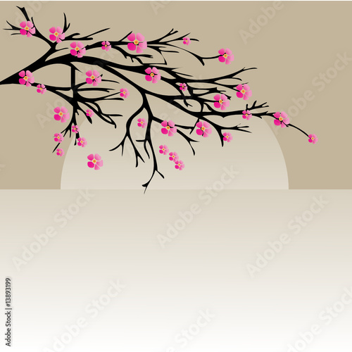 Vector illustration of a cherry twigs in bloom