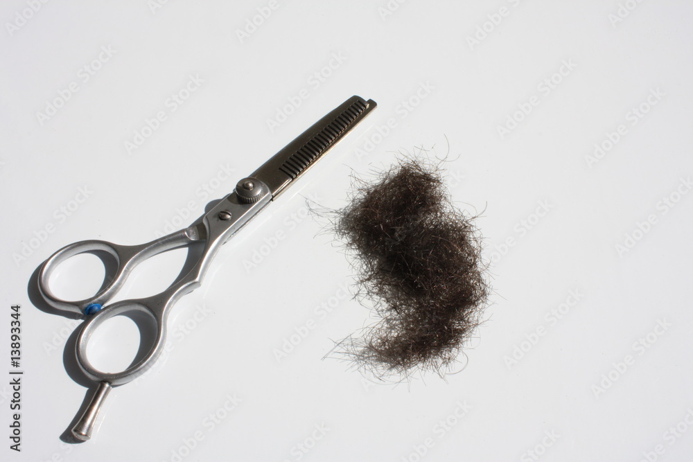Obraz premium Cutting hair
