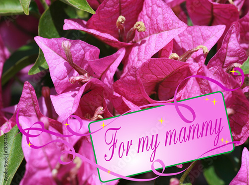 Flowers for mammy