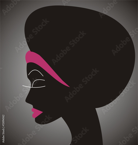 Profil afro noir et rose photo