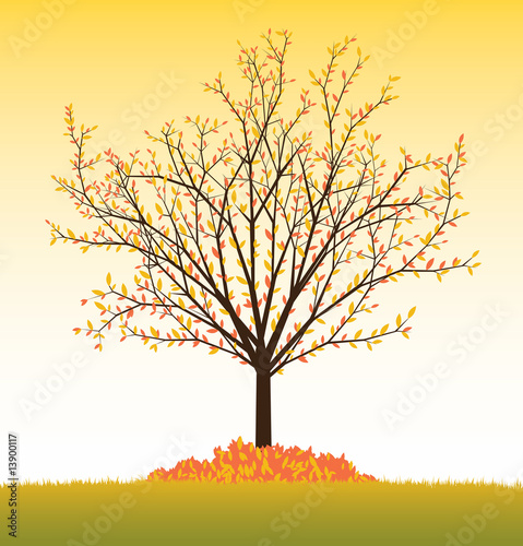 fall vector tree from seasonal set