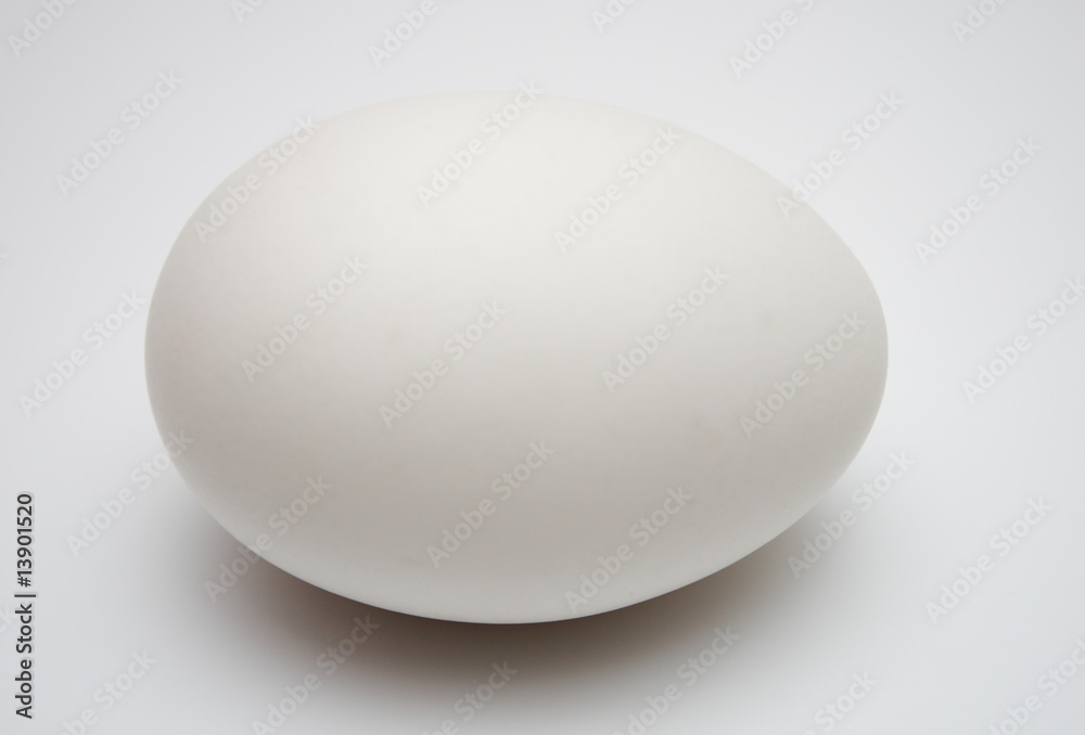 egg egg