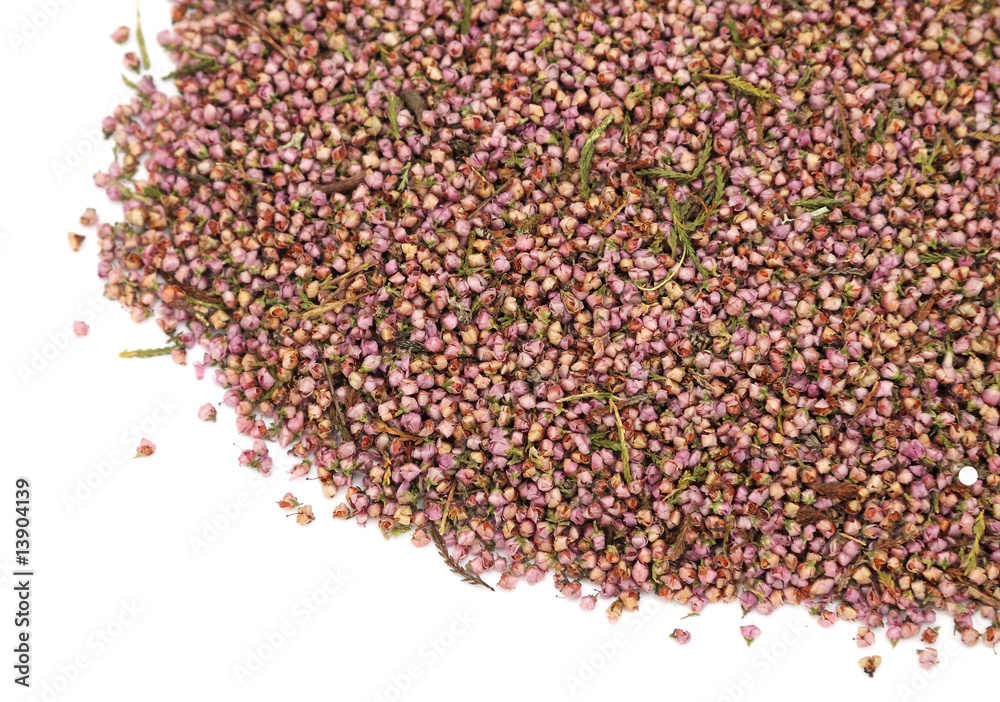 des fleurs de bruyère en coin de page des fleurs de bruyère en coin de page