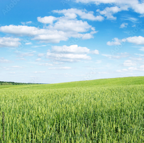 Landscape, blue sky and white clouds