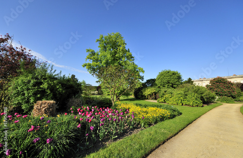 Massif de fleurs