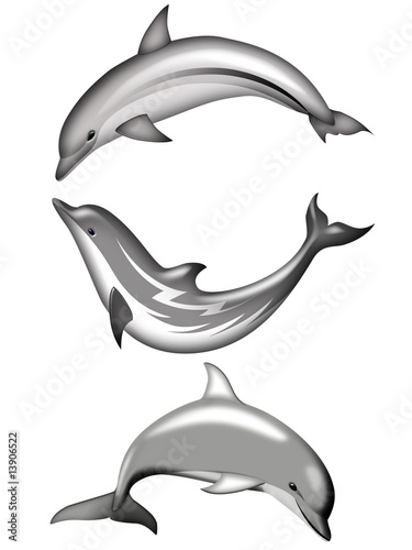 Delfino-Dolphin-Dauphin photo