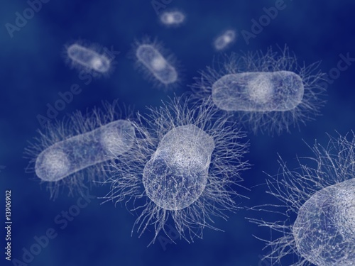 Photos E. coli Bakterien