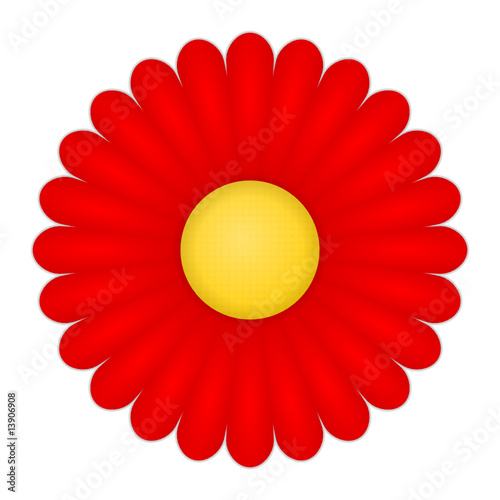 rote blume