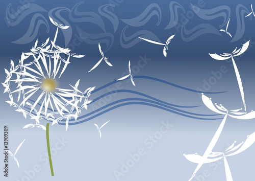 pusteblume illustration