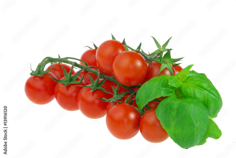 Tomate und Basilikum - tomato and basil 10 Tomate und Basilikum - tomato and basil 10