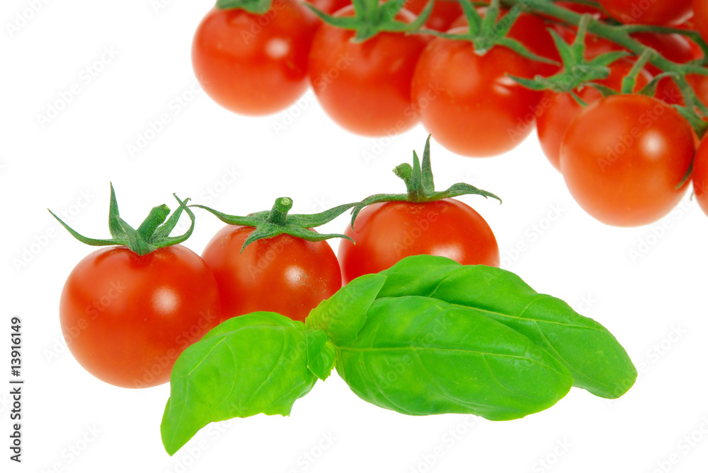 Tomate und Basilikum - tomato and basil 14 Tomate und Basilikum - tomato and basil 14