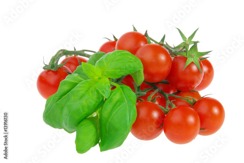 Tomate und Basilikum - tomato and basil 11