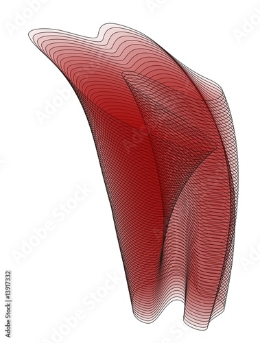 Body