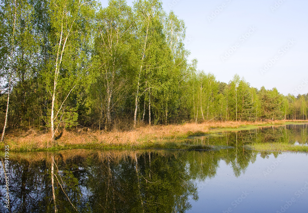 Obraz premium Spring park