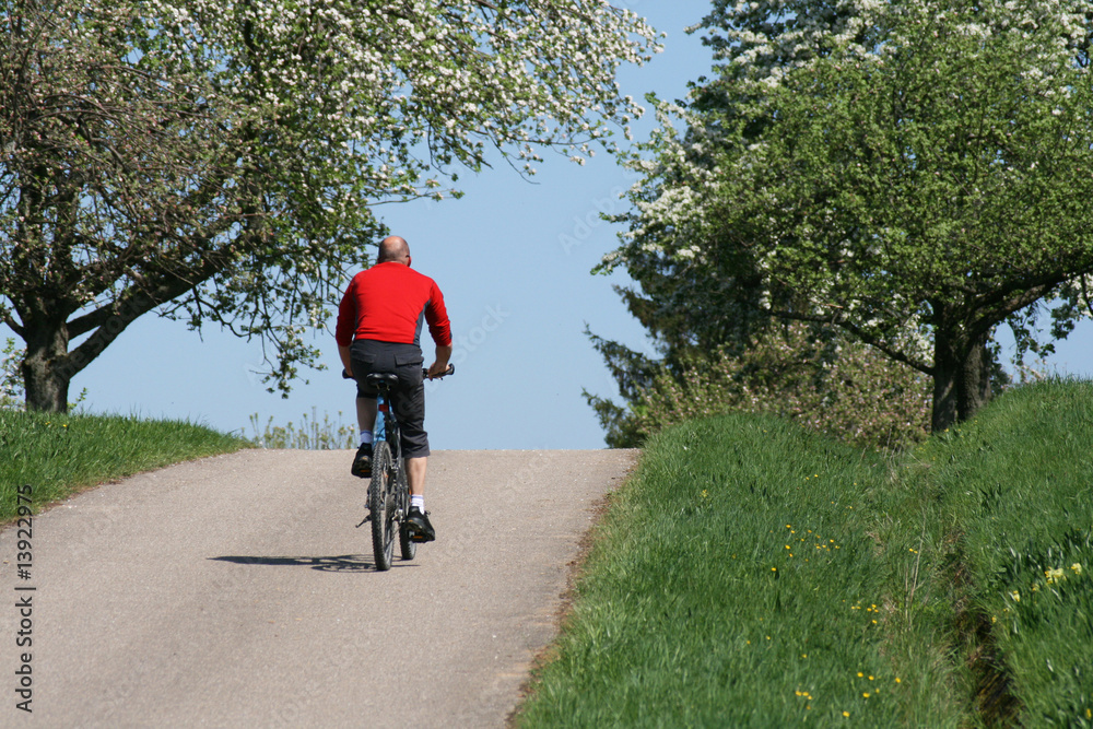 Fototapeta premium biken