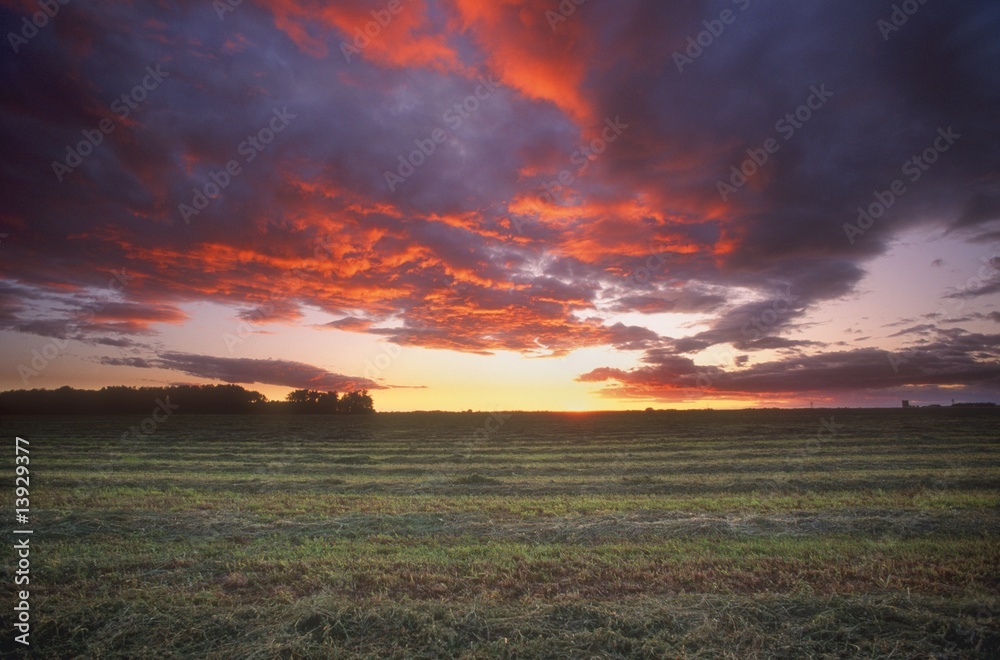 Scenic sunrise/set over field