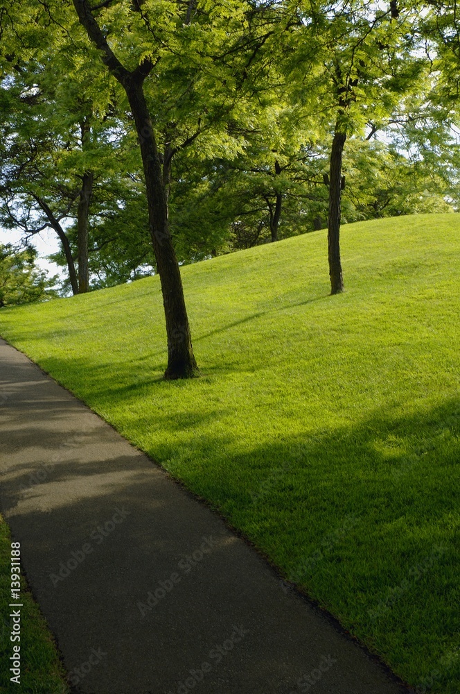 Path in the park