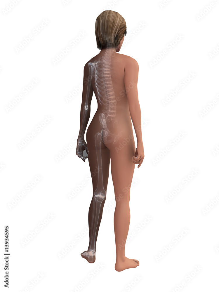 Naklejka premium transparenter weiblicher körper mit skelett