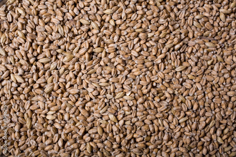 Crystal Malt Crystal Malt