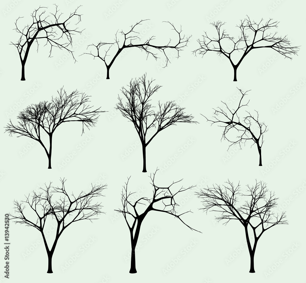 Set of silhouettes of trees