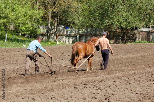 Ploughing the Field with Horses