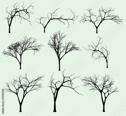 Photo Set of silhouettes of trees