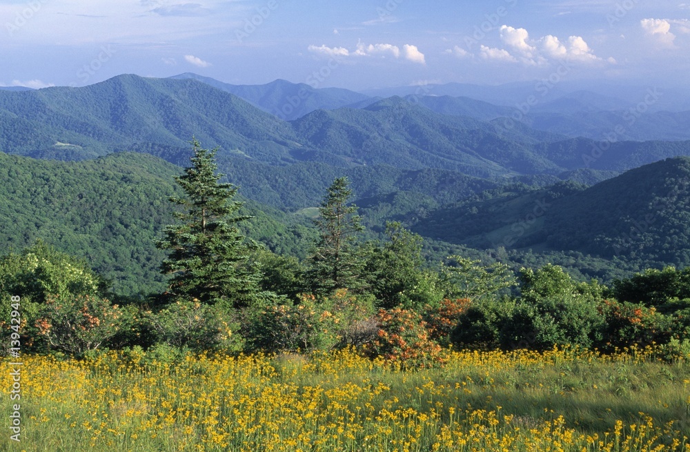 Plakat Blue Ridge Mountains in North Carolina