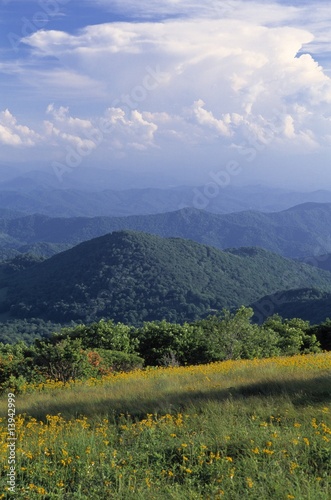 Roan Mountain in the Blue Ridge Mountains, North Carolina, USA photo