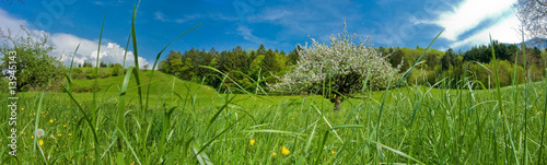 un dimanche a la campagne photo