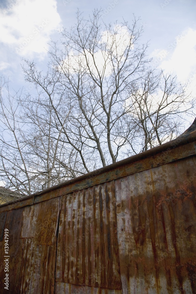 Rusty wall and tree Rusty wall and tree
