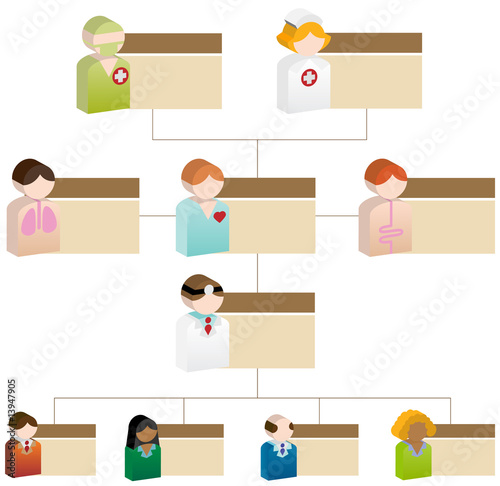 Medical Org Chart