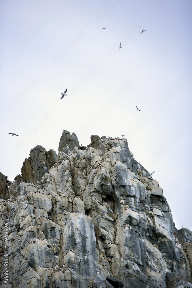Coburg Island in the Canadian Arctic Coburg Island in the Canadian Arctic