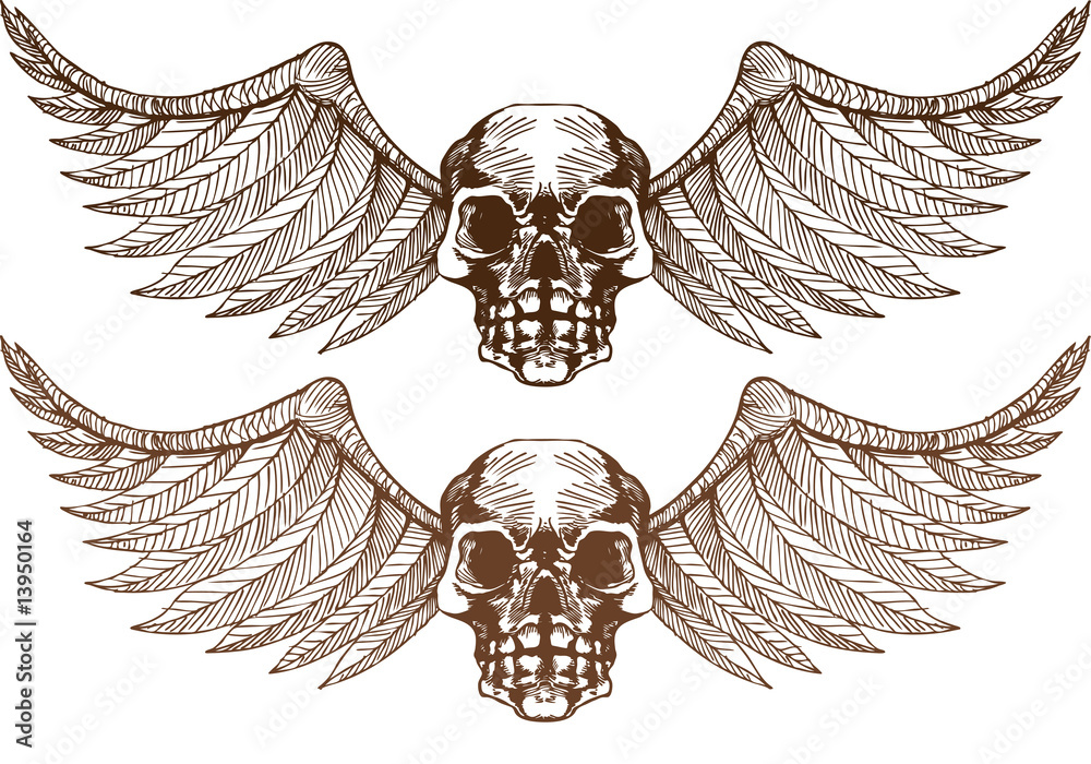 Obraz premium Winged Skull
