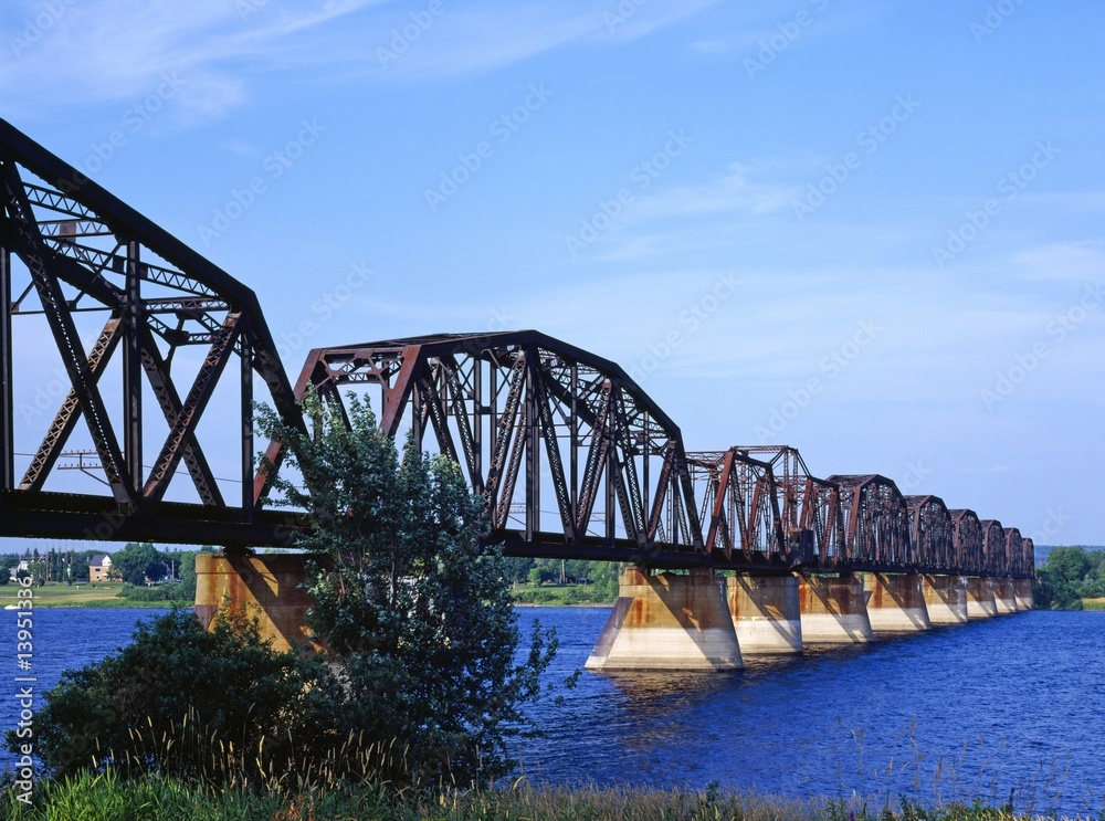 Naklejka premium Train bridge