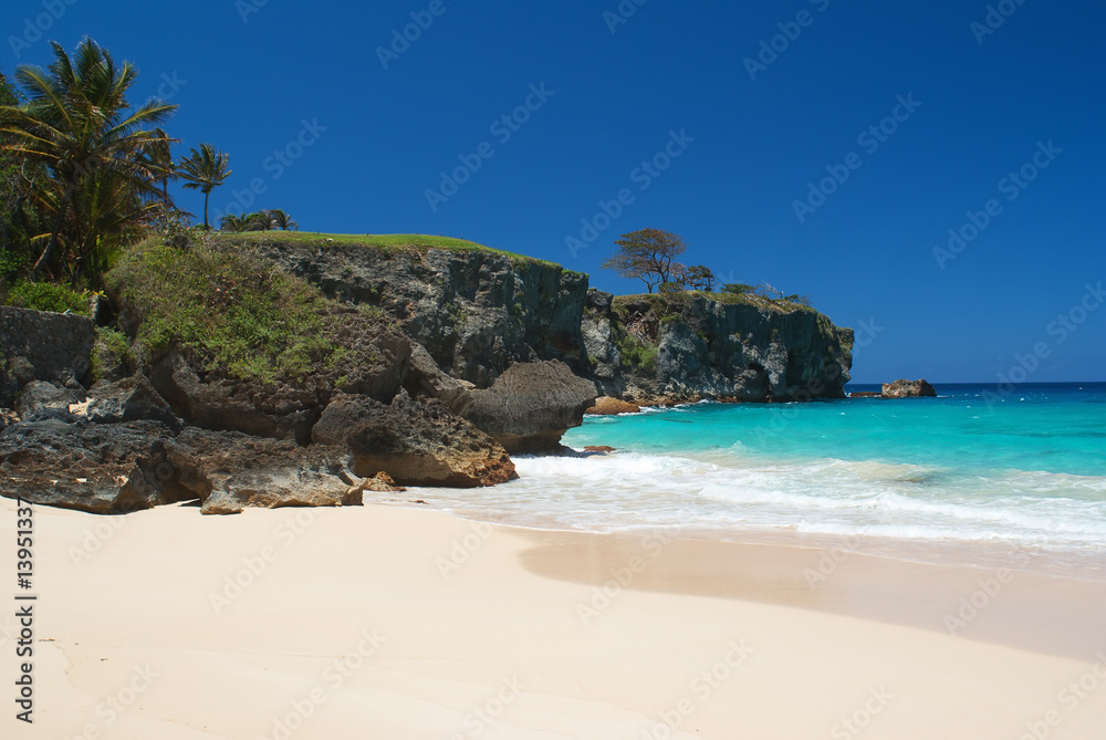dream tropical beach in Dominican Republic