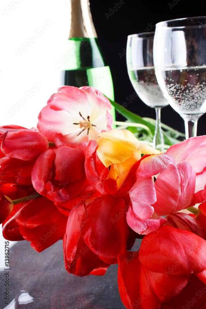 tulips and fizz tulips and fizz