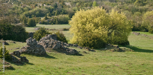 Photos Causse du Larzac au printemps