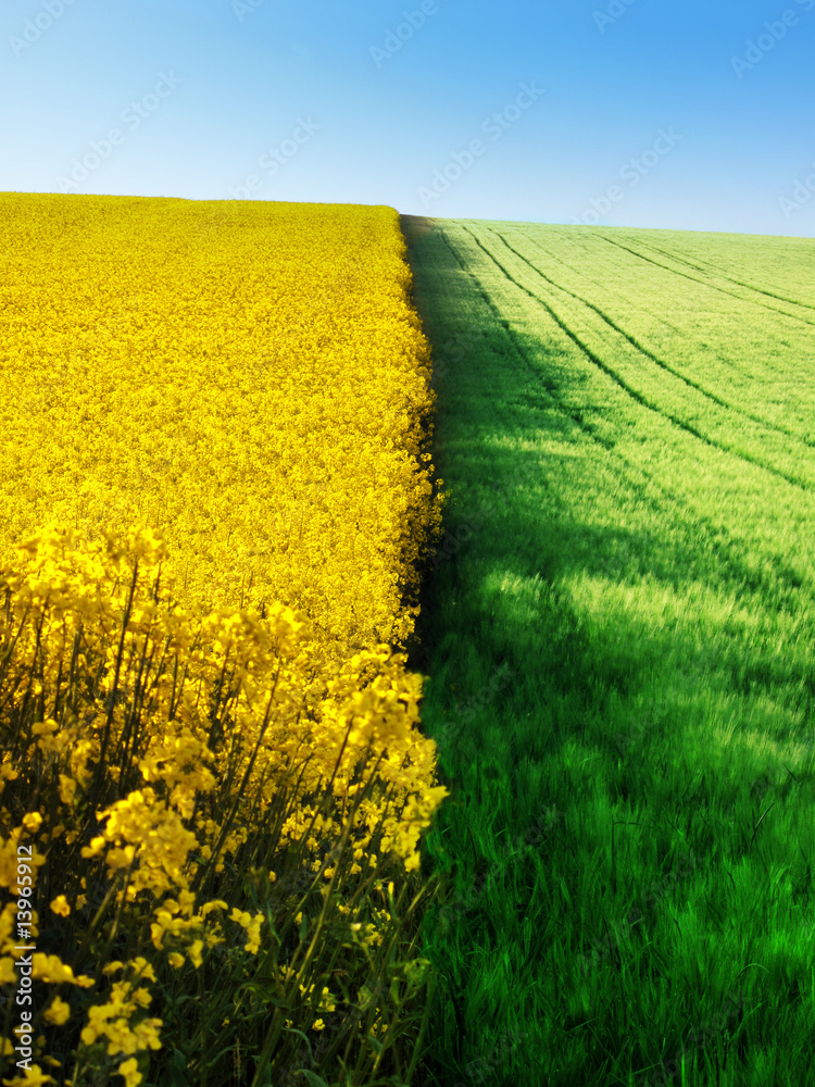 Agriculture