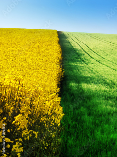 Obraz na płótnie Agriculture w salonie