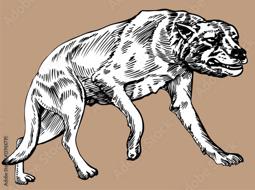 Bilde på lerret DIre Wolf