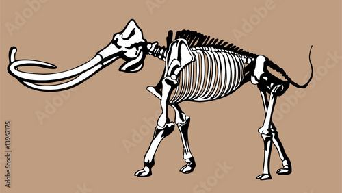 Mammoth Skeleton