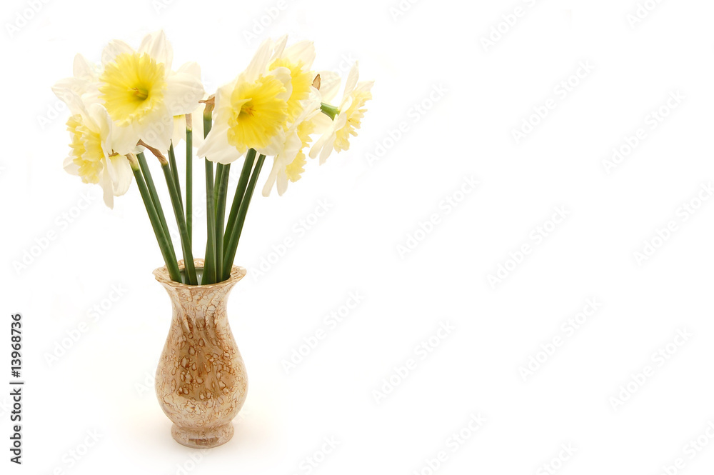 bouquet of spring flowers in vase, isolated on white background