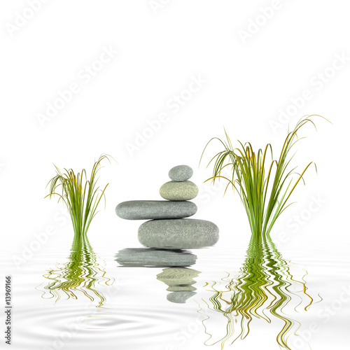 Growth and Balance