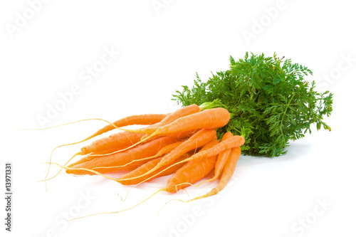 Bunch of Baby Carrots over white