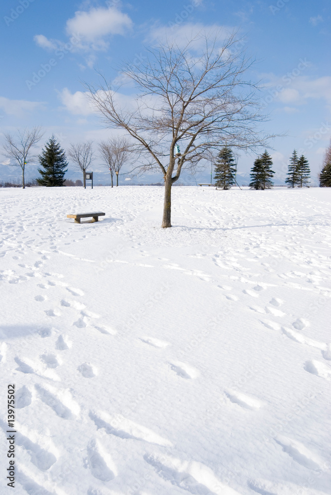 Footprint in the snow, bald tree and vacant chair Footprint in the snow, bald tree and vacant chair